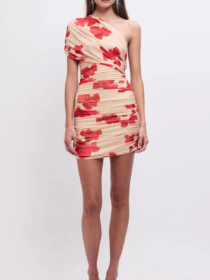 Suzie Floral Mesh Mini Dress Size Small