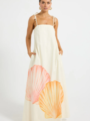 Ariel Maxi Sorbet