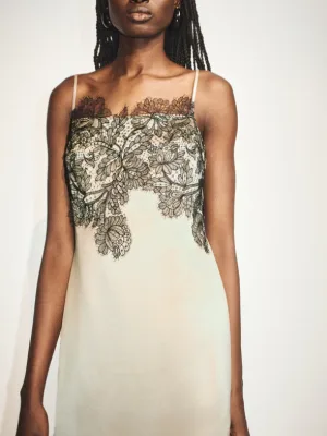 Lucia Lace Mini Dress ChampagneBlack